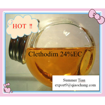 herbicide clethodim 24%EC